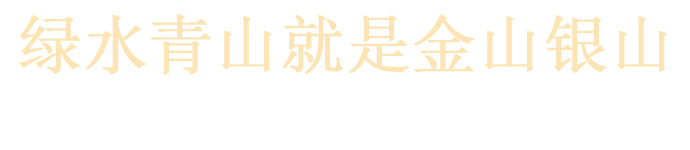 巅峰国际官网