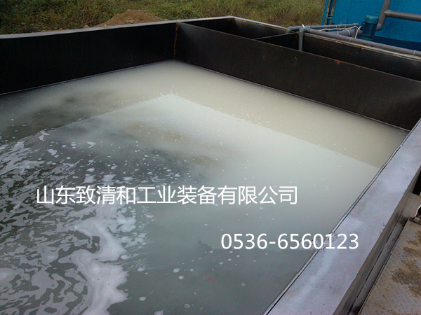 气浮机装置现场-巅峰国际官网